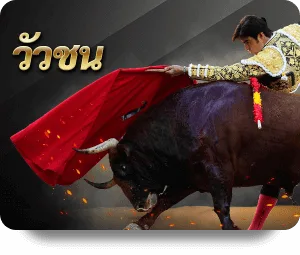 กีฬา 6